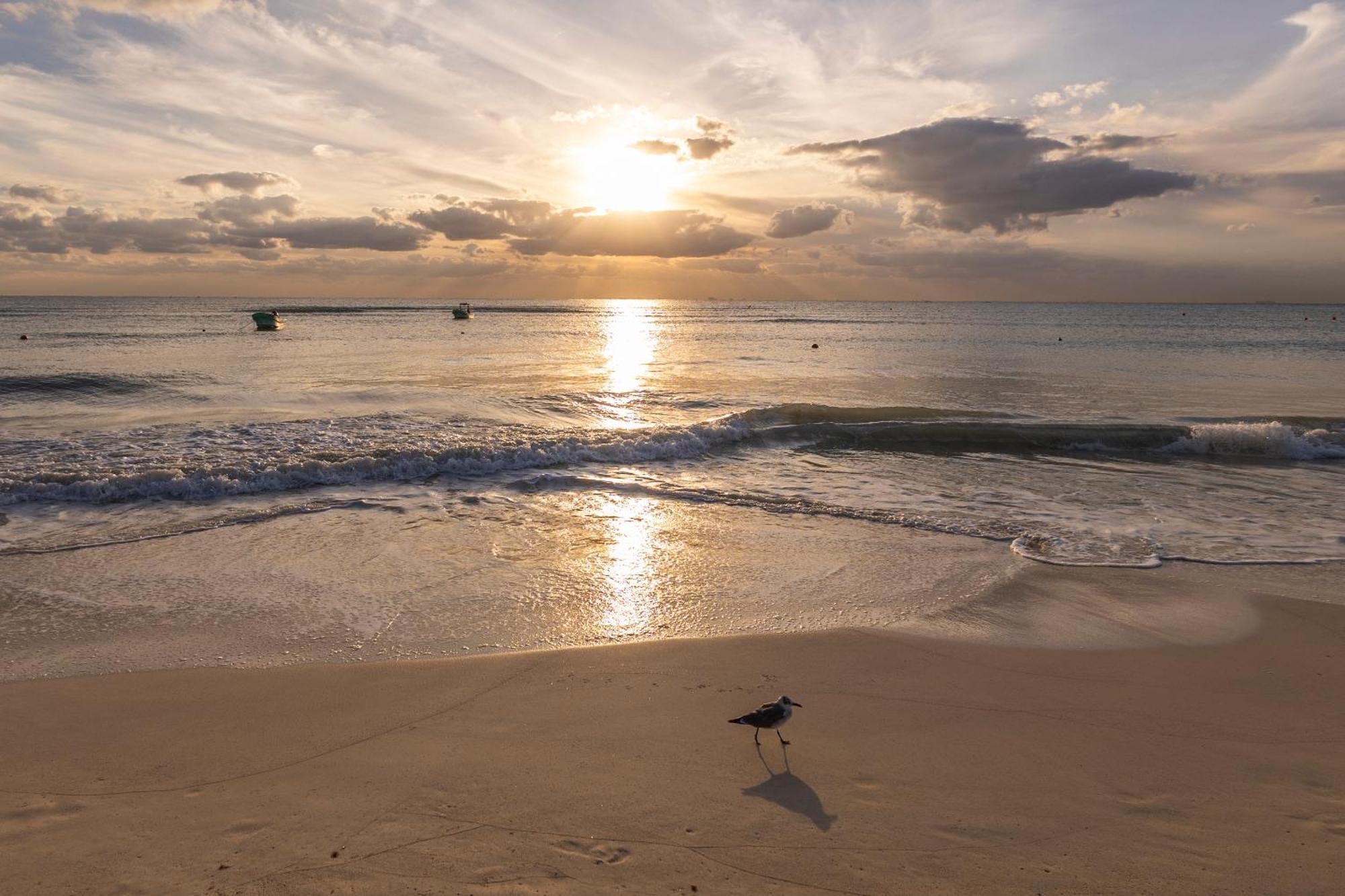 Areia Playa Del Carmen - Beach Front Hotel Esterno foto